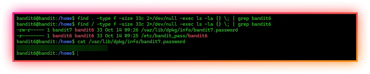 find command with execution