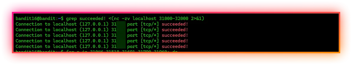 Level 16 → Level 17