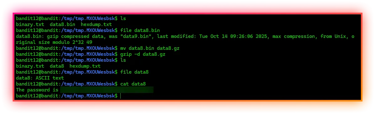 Level 12 → Level 13
