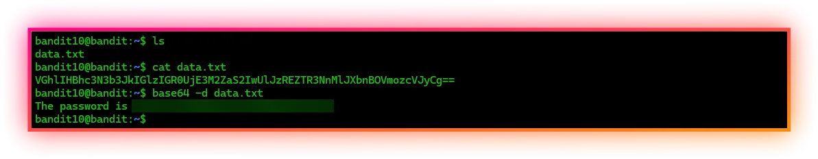 Level 10 → Level 11